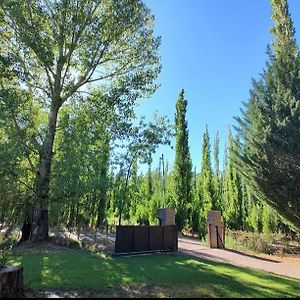 Las Margaritas